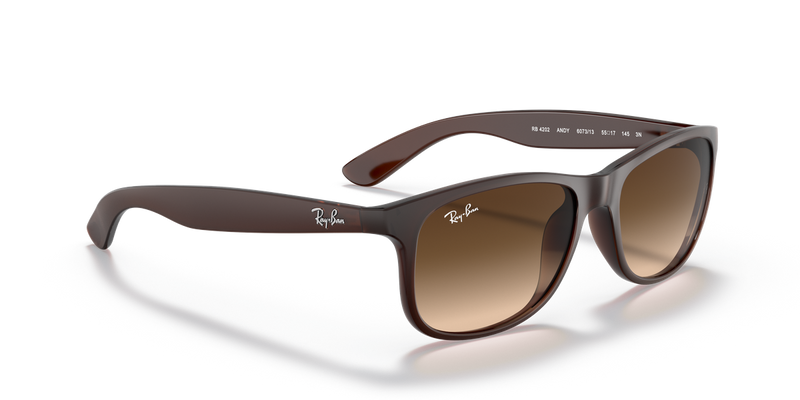 Ray-Ban ANDY in Brown / Brown Gradient (607313) - Alternate View