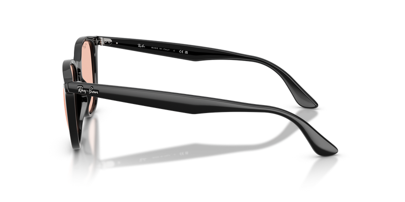 Ray-Ban RB4258F in Black - Alternate View