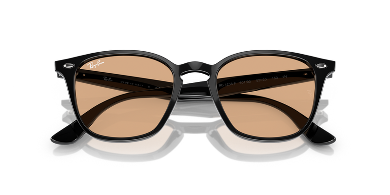 Ray-Ban RB4258F in Black - Alternate View