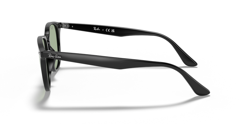 Ray-Ban RB4259F in Black / Light Green Classic (601/2) - Alternate View
