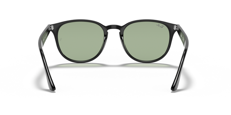 Ray-Ban RB4259F in Black / Light Green Classic (601/2) - Alternate View