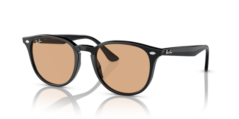 Ray-Ban RB4259F in Black / Brown (601/93) - Alternate View