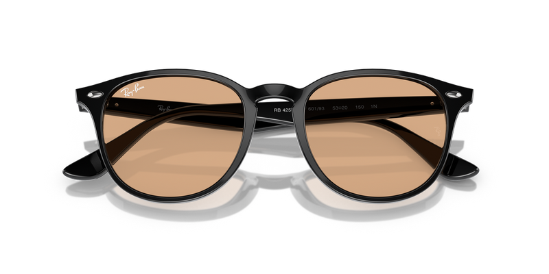Ray-Ban RB4259F in Black / Brown (601/93) - Alternate View