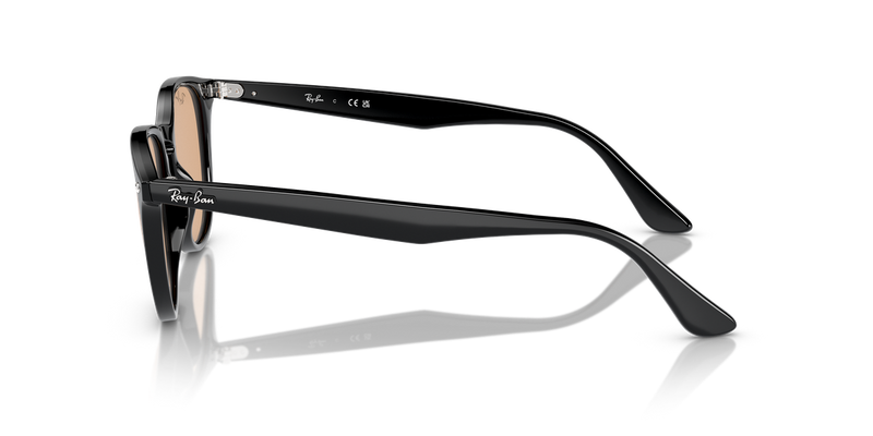 Ray-Ban RB4259F in Black / Brown (601/93) - Alternate View