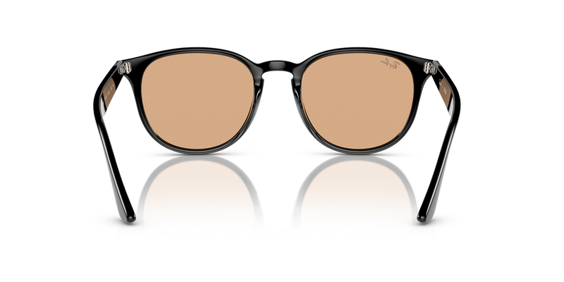 Ray-Ban RB4259F in Black / Brown (601/93) - Alternate View