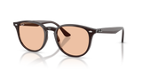 Transparent Brown / Brown (623193)