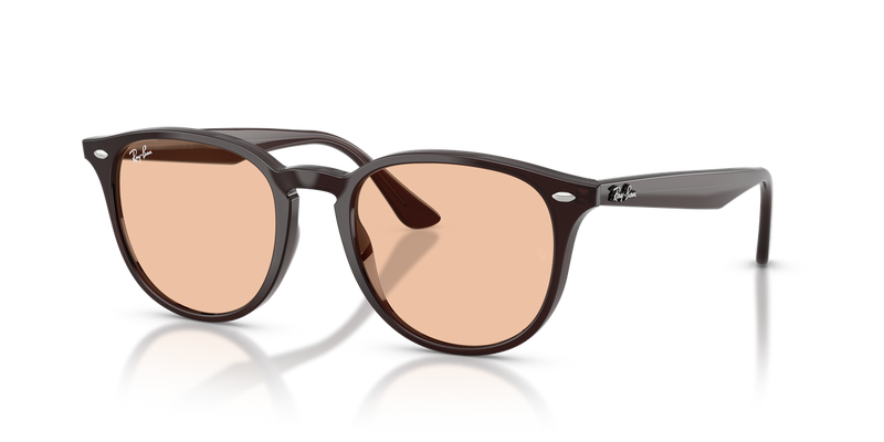 Ray-Ban RB4259F in Transparent Brown / Brown (623193) - Alternate View