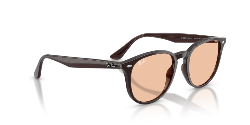 Ray-Ban RB4259F in Transparent Brown / Brown (623193) - Alternate View