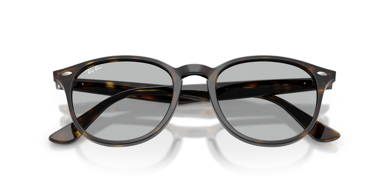 Ray-Ban RB4259F in Light Havana / Light Grey (710/87) - Alternate View