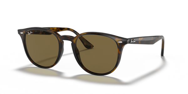 Ray-Ban RB4259