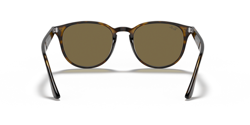 Ray-Ban RB4259 in Light Havana / B-15 Brown (710/73) - Temple Detail