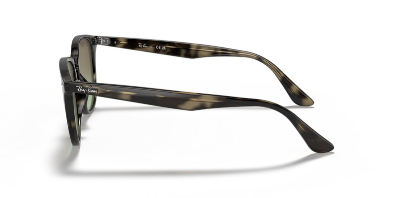 Ray-Ban RB4259 in Grey Havana / Brown Gradient (731/E8) - Alternate View