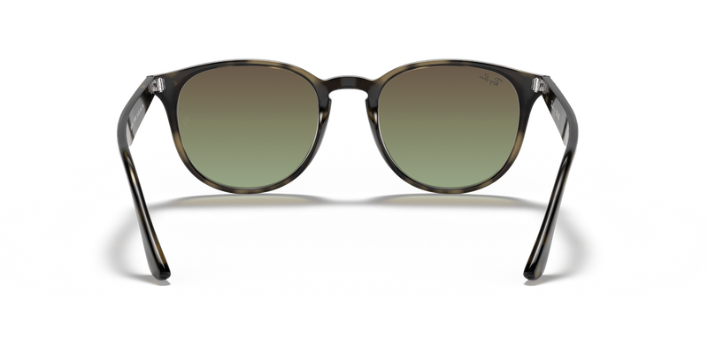 Ray-Ban RB4259 in Grey Havana / Brown Gradient (731/E8) - Alternate View
