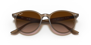 Beige / Brown Gradient (616613)