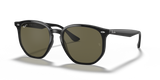 Black / G-15 Green Polarized (601/9A)