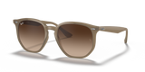 Beige / Dark Brown (616613)