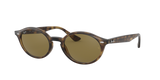 Light Havana / B-15 Brown (710/73)