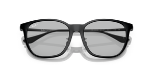 Black / Light Grey (601/87)