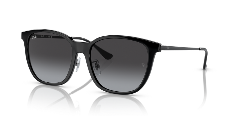 Ray-Ban RB4333D in Black - Alternate View