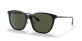 Black / G-15 Green Polarized (601/9A)
