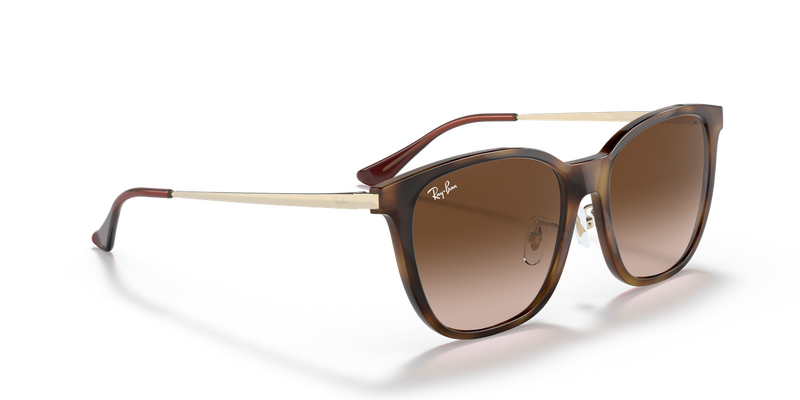 Ray-Ban RB4333D in Light Havana - Alternate View