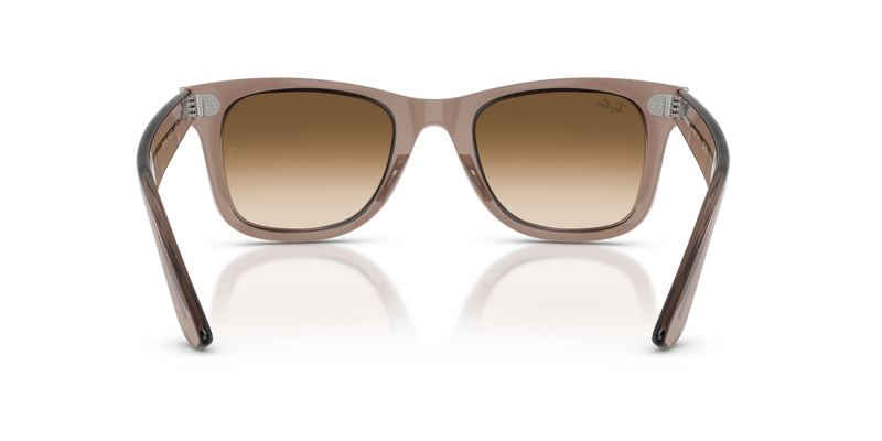 Ray-Ban WAYFARER in Transparent Light Brown - Alternate View