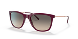 Red / Light Grey Gradient (653432)