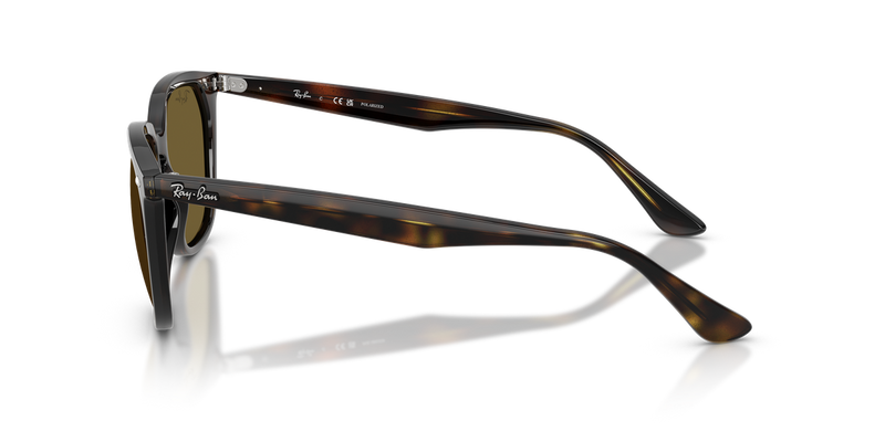 Ray-Ban RB4362 in Havana / Dark Brown (710/73) - Alternate View