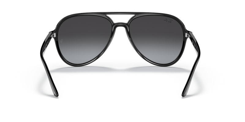 Ray-Ban RB4376 in Black - Temple Detail