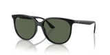 Black / Dark Green (601/71)