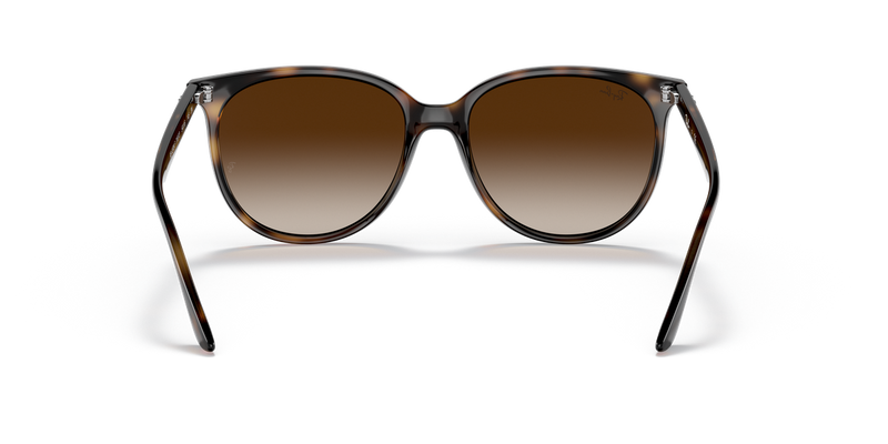 Ray-Ban RB4378F in Havana - Alternate View