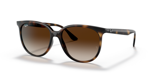 Ray-Ban RB4378 - Havana / Gradient Brown (710/13)