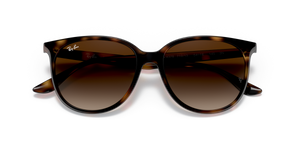 Havana / Gradient Brown (710/13)