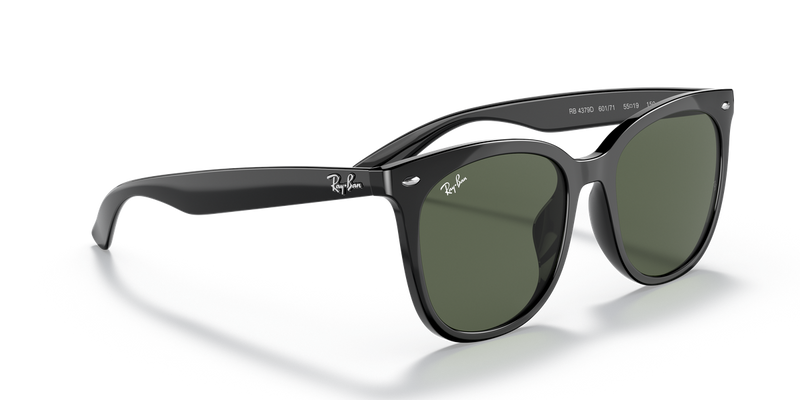 Ray-Ban RB4379D in Black - Alternate View