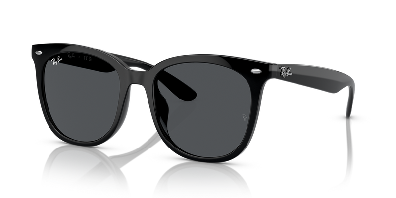 Ray-Ban RB4379D in Black - Alternate View