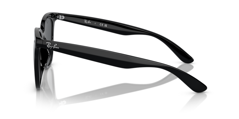 Ray-Ban RB4379D in Black - Alternate View