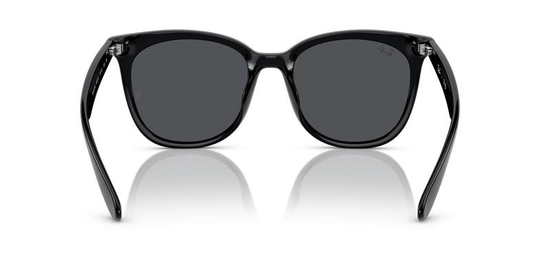 Ray-Ban RB4379D in Black - Alternate View