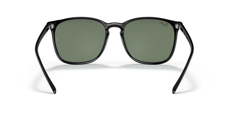 Ray-Ban RB4387F in Black - Temple Detail