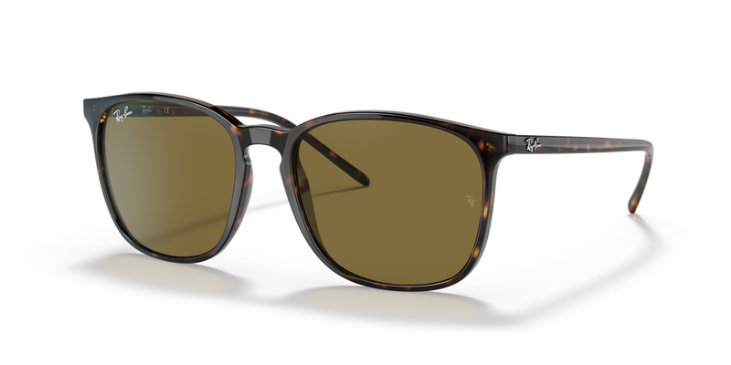 Ray-Ban RB4387F in Tortoise - Alternate View