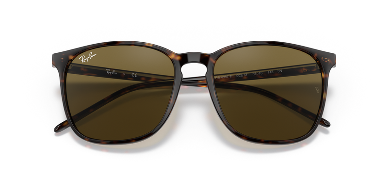 Ray-Ban RB4387F in Tortoise - Alternate View