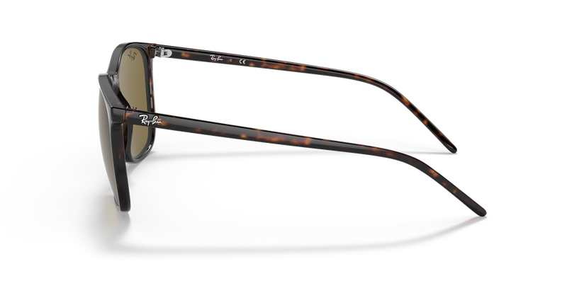 Ray-Ban RB4387F in Tortoise - Alternate View