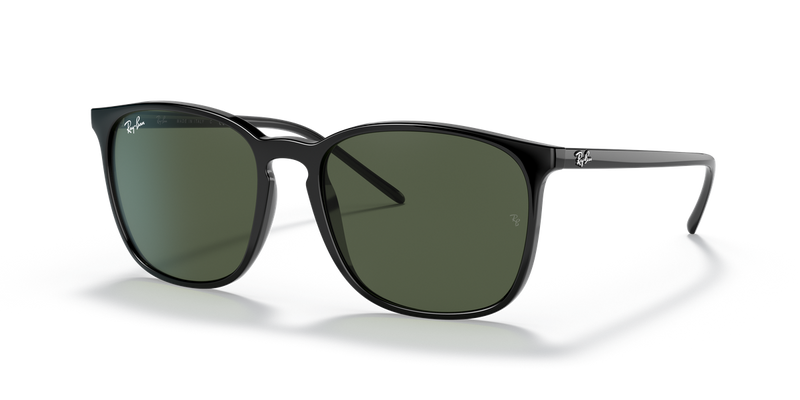 Ray-Ban RB4387 in Black - Front View