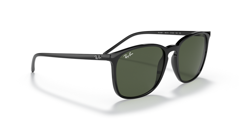 Ray-Ban RB4387 in Black - Alternate View