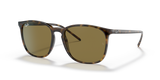 Light Havana / B-15 Brown (710/73)