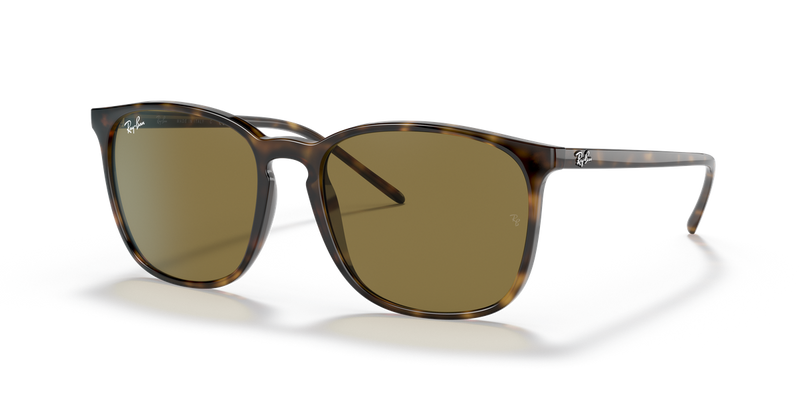 Ray-Ban RB4387 in Light Havana - Alternate View