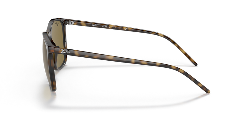 Ray-Ban RB4387 in Light Havana - Alternate View