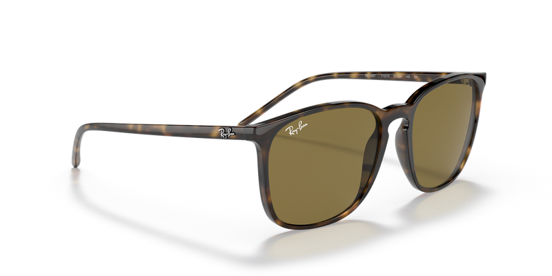 Ray-Ban RB4387 in Light Havana - Alternate View