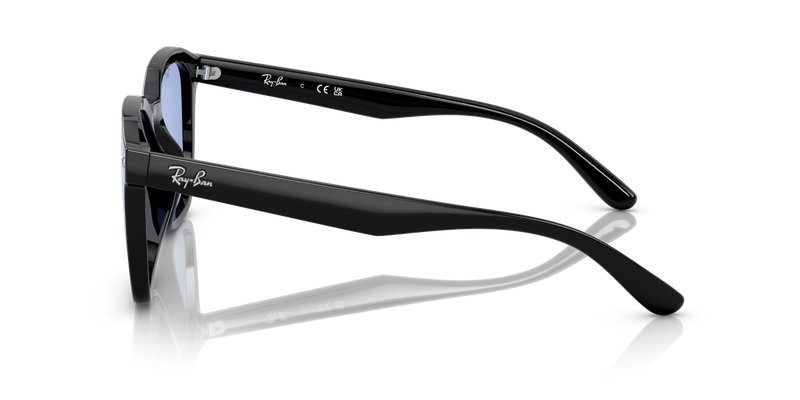 Ray-Ban RB4392D in Black - Back View