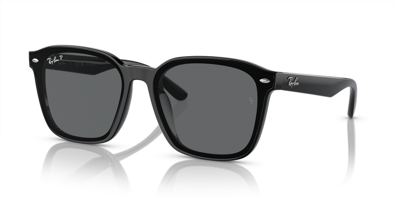 Ray-Ban RB4392D in Black - Alternate View