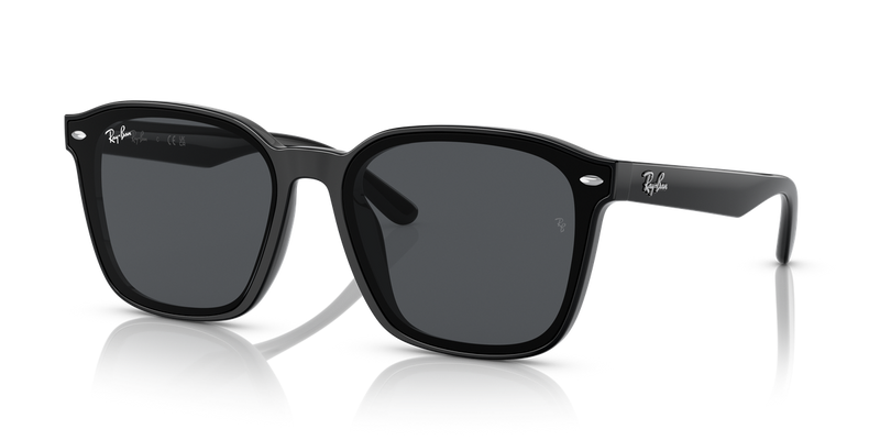 Ray-Ban RB4392D in Black - Alternate View
